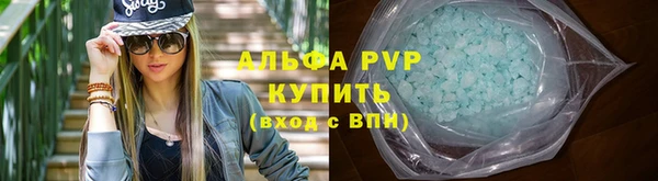 гидра Богородицк