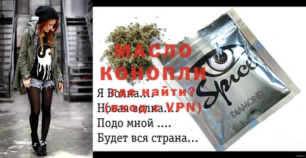 гидра Богородицк