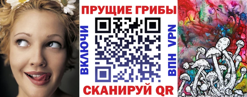 Галлюциногенные грибы мицелий mega вход Бикин